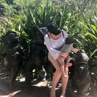 lily m e arabin (@lilyarabin) 's Twitter Profile