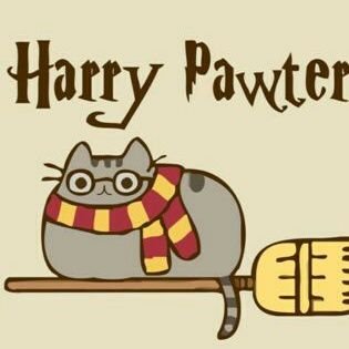 exterminator770's profile picture. soy gamer otaku