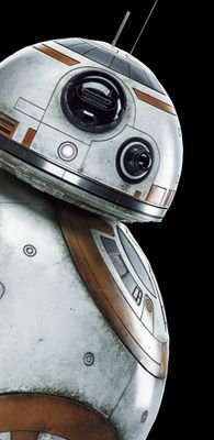 Dougie43367883's profile picture. boobies are a mans best friend