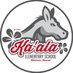 Ka'ala Elementary (@kaalael) Twitter profile photo Ka'ala Elementary (@kaalael) Twitter profile photo