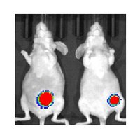 Carpenter Lab (@carpenter_lab) 's Twitter Profile