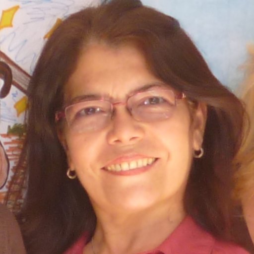 Docente e Investigadora. Mis casas de estudio: UCV-UPEL