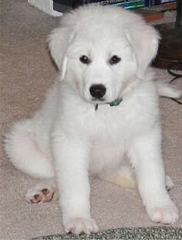 webweb122's profile picture. 