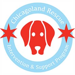 News from Chicagoland Rescue Intervention & Support Program (CRISP) partner orgs. We work together @ChicagoACC to support and save family pets. 🤝