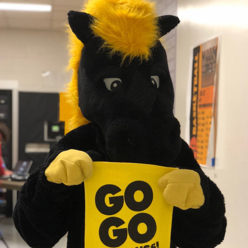 Your “mane” source for MVHS spirit #GoGoMustangs  #EverythingMatters #BGStampede