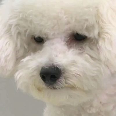 luv__BB_'s profile picture. 구독...계...