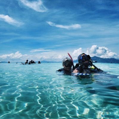 wslijp's profile picture. 80后大叔.有钱.任性.亦正亦邪.混过社会.当过兵.入过党.从过政.后经商.现务农.日常推.不谈政治爱美女.喜爱讲冷笑话.实践证明…呃！