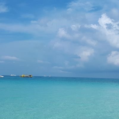 k2880875's profile picture. 맞팔. 즐거운 삶을 위해 적폐청산