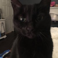 MiaAlee @miaalee.bsky.social (@italialondon15) 's Twitter Profile