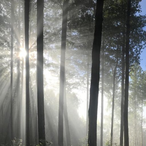 halo5playgirl's profile picture. 