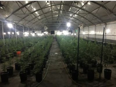 LCG is a newly renovated 60k sq ft green house on 6 acres zoned and permitted to grow medical grade marijuana. 