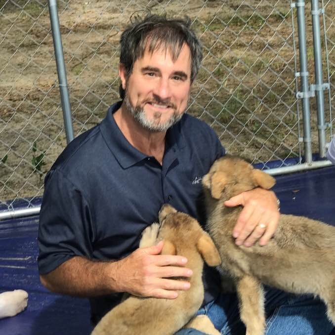 polo4dara's profile picture. Enjoying the love of my wife and family, home, reading and music. Antagonist rejecting trump, trumpism and right wing radicalism