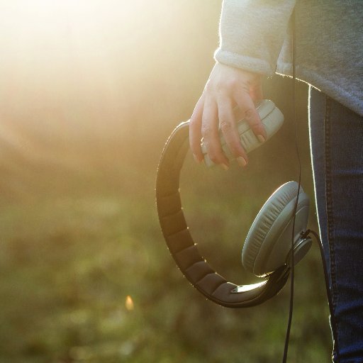 IntRadioJournal's profile picture. Academic journal // International Studies in Broadcast & Audio Media // editors @lindgrenmia & @jaybolobo