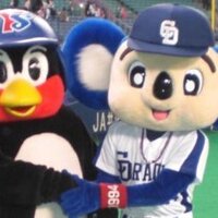 koton (@kouton) 's Twitter Profile