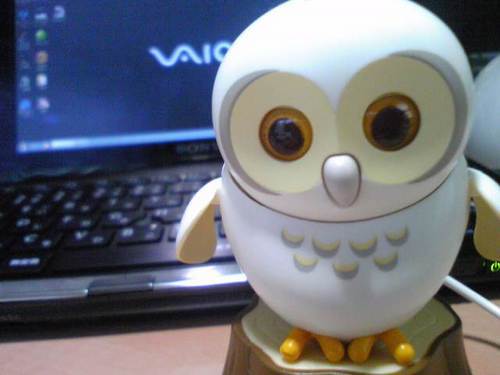 RyoRossa's profile picture. 