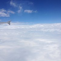 Nguyen Quynh (@nguyenquynh9537) 's Twitter Profile