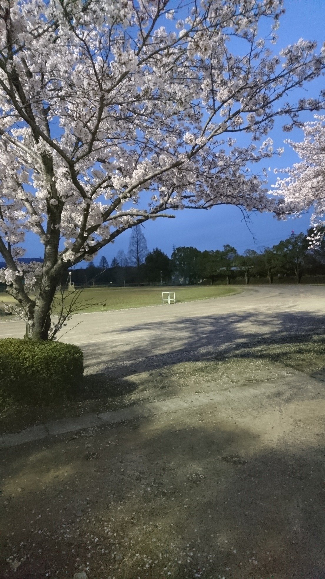 岐阜大学医学部陸上部の公式アカウントです！毎週水曜日16時45分～活動しています🏃‍♂️入部希望や質問がありましたら、気軽に聞いてください！