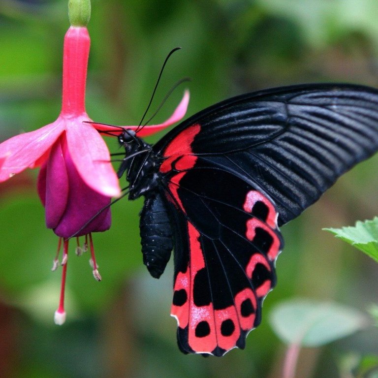 twit_veron's profile picture. Микроблог здоровья и красоты!
Я обожаю узнавать новости медицины, помогающие людям. 


Following, Взаимный Фолловинг, Follow Me, Follow Back, Массовый Фоловинг😇