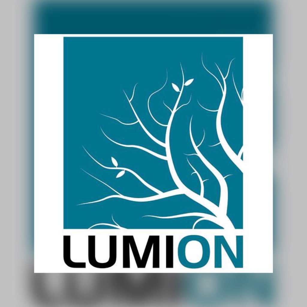 Lumion is a software that creates videos, images and 360 panoramas for every #architect or #designers.