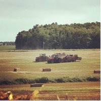 Nils Aeberhard (@salemcreekfarms) 's Twitter Profile Photo Nils Aeberhard (@salemcreekfarms) 's Twitter Profile Photo