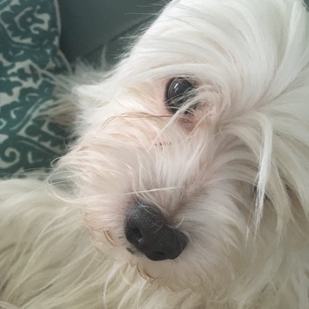 BGEEZ's profile picture. RN , Interior Designer, Country Club Mgr, Chamber of Commerce MGR. Widow & Mother #MAGA 🇺🇸#USA Conservatives, Christian,Proud Southern Woman, NRA member 🇺🇸