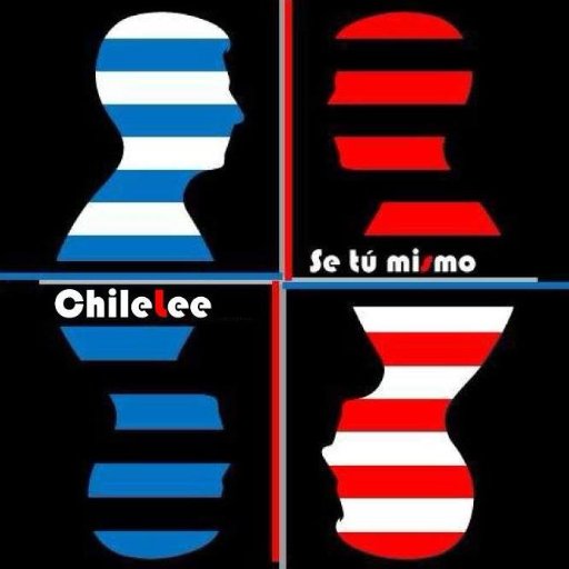 CulturaChilelee's profile picture. Difusión de la cultura, las artes y divulgación científica . Iniciativa en red con @Chilescucha , @ChileobservaArt del proyecto #PincelyColor