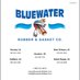Bluewater Rubber & Gasket Co. (@bluewaterrubber) Twitter profile photo
