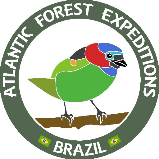 We organize and operate Birding and Wildlife Tours in Brazil, aiming to support a susteinable development and nature conservation iniciatives in our country.