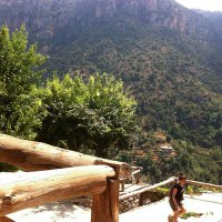 Rima Baalbaki (@baalbakirima) 's Twitter Profile Photo Rima Baalbaki (@baalbakirima) 's Twitter Profile Photo