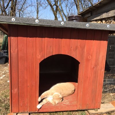 LolaManol's profile picture. Sercem po prawej stronie