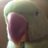 vinod29182 Twitter Indian User 1640336559408041984