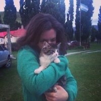 Kaye Sklar (@kaye_sklar) 's Twitter Profile