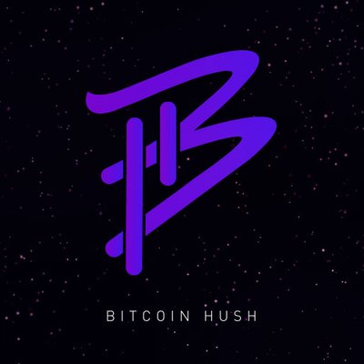 Btc hush prodigy network investing