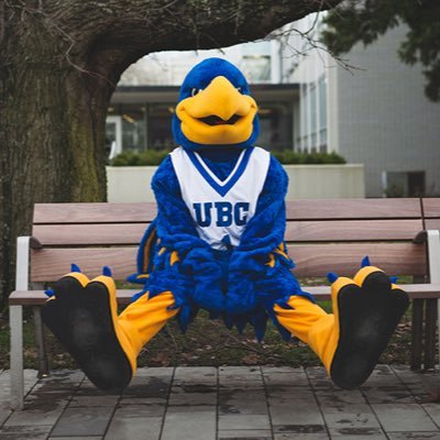 Don't ruffle the feathers