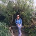 Nancy Bentley (@nancybentleywp) Twitter profile photo Nancy Bentley (@nancybentleywp) Twitter profile photo
