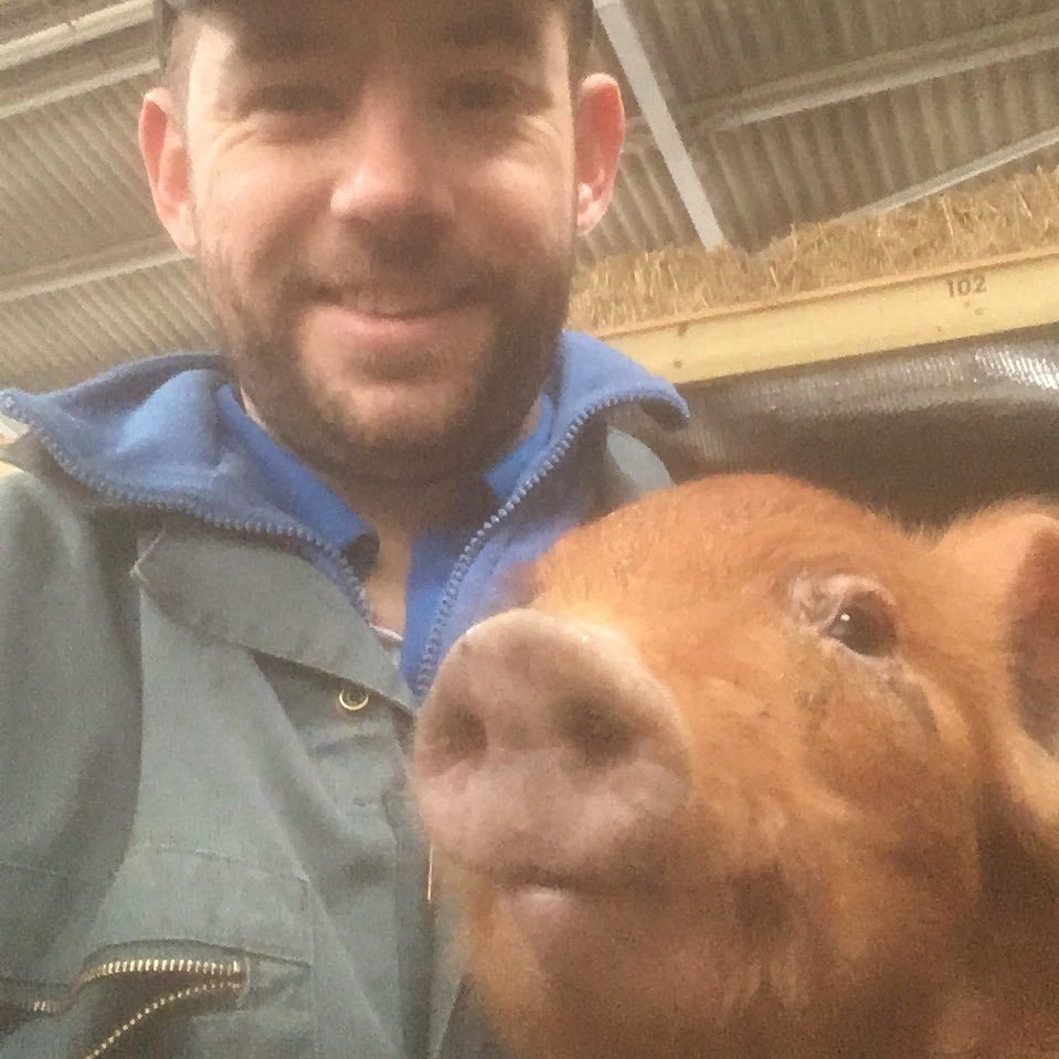 Farmer - rearing calves and pigs. Partner at @groundsfarm
