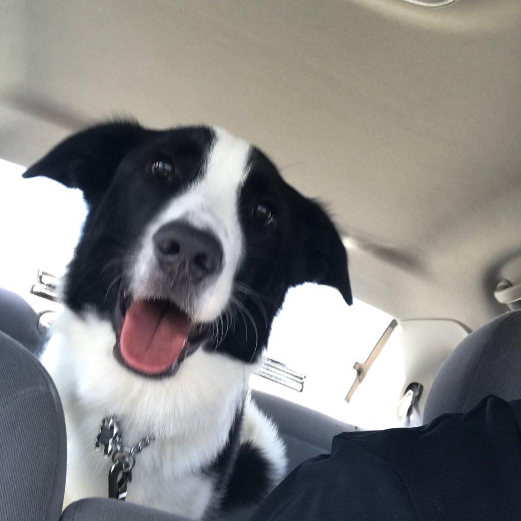 petermuzyka's profile picture. 