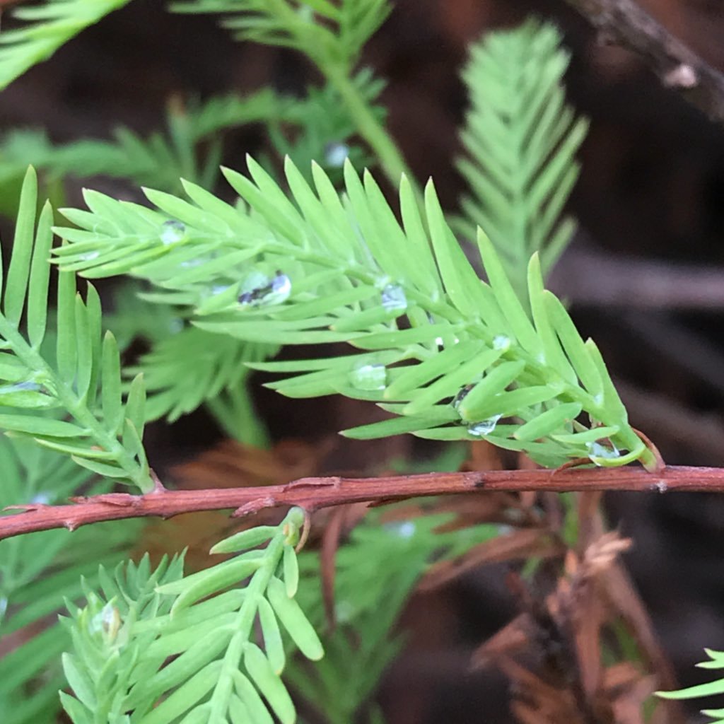 GHbiology's profile picture. 