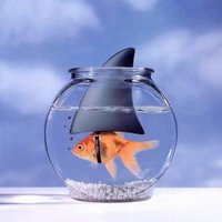 Iwona Gin (@62iwona) 's Twitter Profile Photo Iwona Gin (@62iwona) 's Twitter Profile Photo
