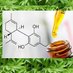 CBD Hemp Oil Online 24/7! (@moneysavinghack) Twitter profile photo CBD Hemp Oil Online 24/7! (@moneysavinghack) Twitter profile photo