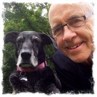 Steve Bottcher (@metalformer) 's Twitter Profile