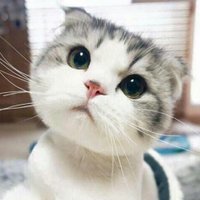 กัปตันยูวววว🌱🔨🩺🪖⛸🏔☂️ (@namwon1206) 's Twitter Profile