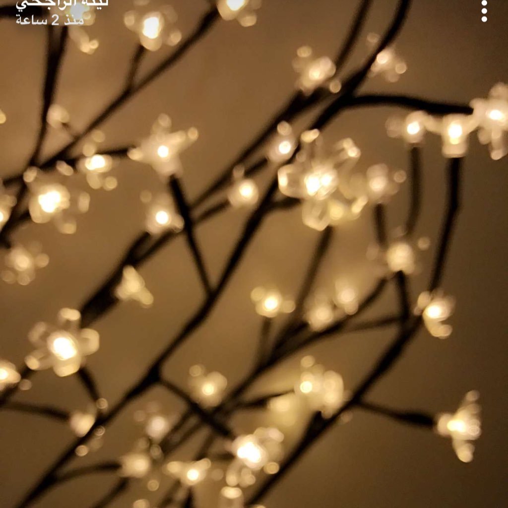 hoOope1411's profile picture. 