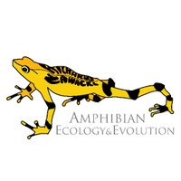 RZ Amphibian Lab (@rz_lab) 's Twitter Profile