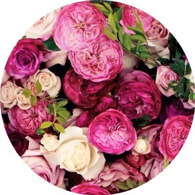 LauraCapone19's profile picture. 