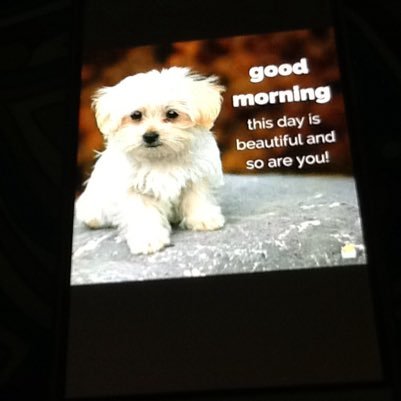 ZainabSyed11's profile picture. Convent of Jesus and Mary