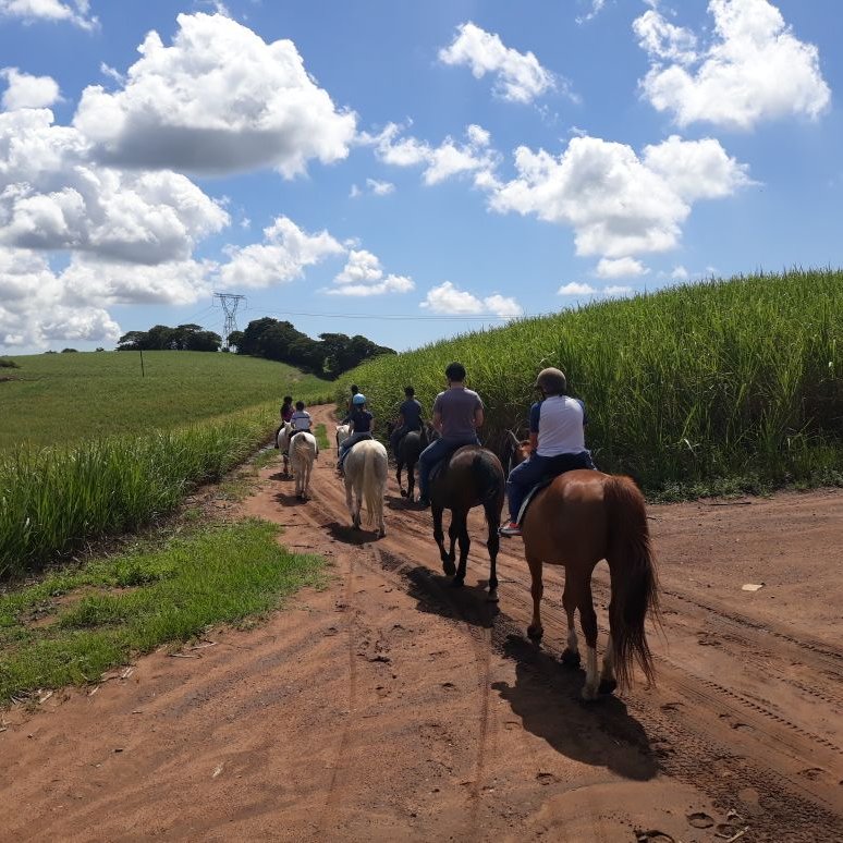 RedwoodsRiding's profile picture. Redwoods Riding Centre near Ballito is a must visit if you have ever dreamed of getting in the saddle. Redwoods offers horse riding trails and riding tuition.