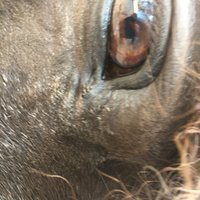Dave (@davidjohnking6) 's Twitter Profile