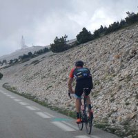 Robert Vogel (@robertvogelza) 's Twitter Profile