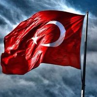 kelebekler özgürdür(@AYNESRN) 's Twitter Profile Photo